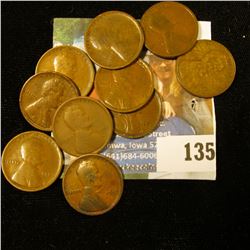 10 1909 WHEAT PENNIES ALL FOR 1 MONEY