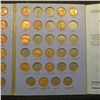 Image 5 : 1941-73 D Partial Set of Lincoln Cents in a blue Whitman folder.