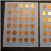 Image 3 : 1975-2007 Partial Set of Lincoln Cents in a blue Whitman folder. Includes many BU specimens.