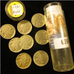 Plastic tube with (8) 1930 P Buffalo Nickels, various grades.