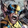 Image 2 : Wolverine: The Best There Is #10