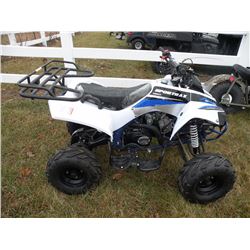 2016 Apollo Sportrax 125 SN#-L08AGJSA9G1000069