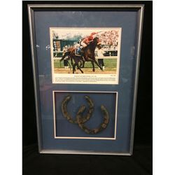 FRAMED HORSESHOE DISPLAY 1992 KENTUCKY DERBY LIL E TEE AUTOGRAPHED BY PAT DAY