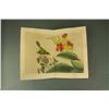 Image 1 : Zhang Xiong 1803-1886 Watercolour on Paper Booklet
