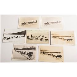 Dogsled Postcards: Mail Teams