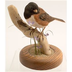 Oregon Junco by Jerry Dollar