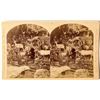 Image 1 : 1876 Centennial International Exhibition Stereoview of Martha Maxwell's Rocky Mountain Exhibit