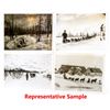 Image 1 : Alaska Trail Scenes and Dog Team Photographs by Cameron