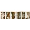 Image 3 : El Dorado County Ephemera incl. Rare 1883 Ribbon
