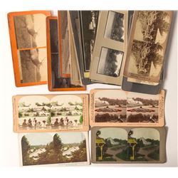 Golden Gate Park Stereoview Collection