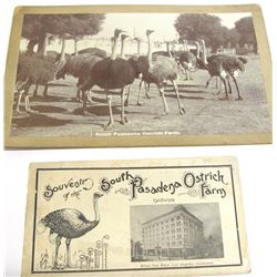 South Pasadena Ostrich Farm Items