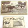 Image 1 : South Pasadena Ostrich Farm Items
