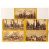 Image 1 : Yosemite Stereoview Collection: John P. Soule, c.1870