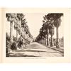 Image 2 : 1903 Southern California Pictorial Booklet