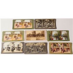 Florida Stereoview Collection