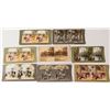 Image 1 : Florida Stereoview Collection