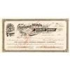 Image 1 : California-Nevada Creamery Co. Stock Certificate, 1893