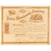 Image 1 : Fulton Manufacturing Company of Fulton, N. Y. Stock Certificate, 1868