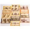 Image 1 : New York Stereoview Collection