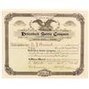 Image 1 : Hollenbeck Bicycle Saddle Company Stock Certificate, 1898