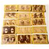 Image 1 : Wisconsin Scenery Stereoview Collection, c.1870s-80s