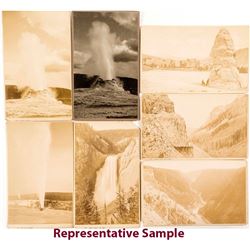 Yellowstone Cabinet Card Group