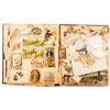 Image 2 : Binder Full of Trade and Greeting Cards