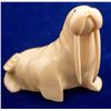 Image 1 : Ivory Walrus with Long Tusks