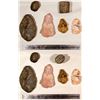 Image 1 : Cherokee Nation Stone Artifacts