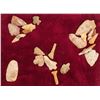 Image 1 : Fancy Projectile Points from the Chattahoochee Region