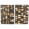 Image 1 : Mixed Projectile Points from the Cherokee Nation