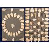 Image 1 : Quartz Projectile Points, Cherokee Nation