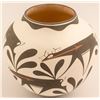 Image 1 : Zuni Pot by Anderson Peynesta