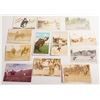 Image 1 : Twelve Pendleton Round-Up Postcards