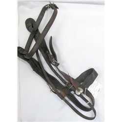 Miles City Saddlery Leather Bridle
