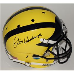 Jim Harbaugh Signed Michigan Wolverines Custom Matte Yellow Full-Size Helmet (JSA COA)