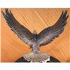 Image 5 : Signed Moigniez Large American Eagle Swoops to Prey Bronze Marble Sculpture