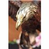 Image 3 : Signed Two Tone Moigniez Magnificent Large American Eagle Bronze Statue