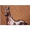 Image 3 : ORIGINAL SIGNED MARIUS COLLECTORS EDITION HORSE BRONZE STATUE FIGURE