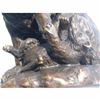 Image 2 : VINTAGE LION WITH CUB BRONZE STATUE