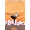 Image 3 : Signed Original Exotic Brazilian Bird Statue Figurine NR