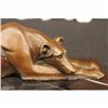 Image 2 : Signed Carvin Patient and Loving Greyhound Dog Bronze Art Deco Sculpture Statue