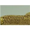 Image 5 : 24K Gold Plated Vienna Fish with Crystals Fish Marine Bronze Sculpture Figurine
