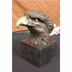 Impressive Large Eagle Bird Freedom