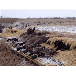 1-DAY YOUTH OR ADULT NEBRASKA WATERFOWL HUNT