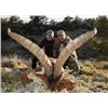 Image 2 : 5-DAY HUNT FOR 1 HUNTER IN SPAIN PLUS $2,000 IBEX TROPHY CREDIT