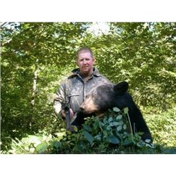5 DAY MAINE BLACK BEAR HUNT – 1 HUNTER