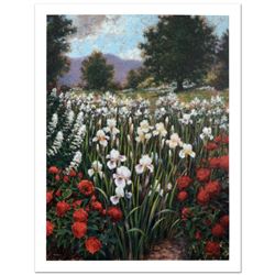 Irises In A Meadow