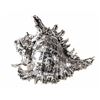 Image 3 : Buccellati Italian Silver Konch Shell