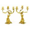 Image 1 : Pair of French Gilt Bronze Candleabras